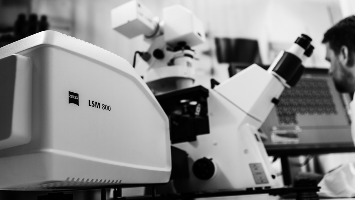 Zeiss LSM 800 Confocal Laser Scanning Microscope Biomed Core