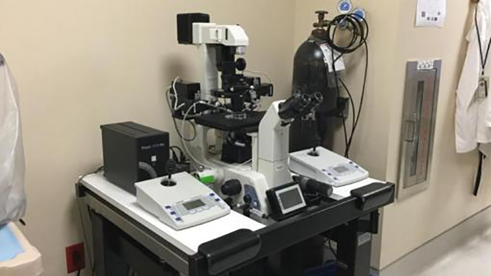 Microinjection Station
